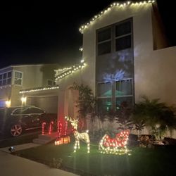 Christmas Decor: 4 ft. Gold 2D Lighted Reindeer and Sleigh 