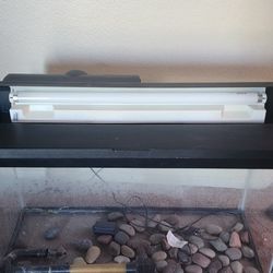 Fishtank For Sale