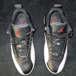 Jordan 12 Low 