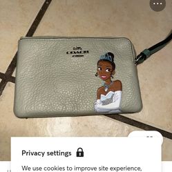 Disney coach on mercari for 160 so no lowbllrs