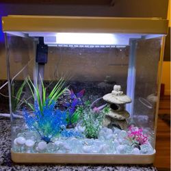 Imagitarium 5 Gallon Fish Tank 