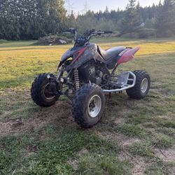 Arctic Cat Dvx 400