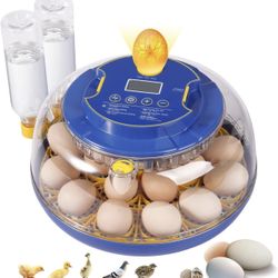 18 Egg Incubators for Hatching Eggs, Chicken Egg (N167)