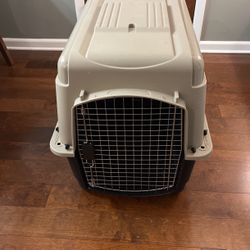 Dog Kennel 