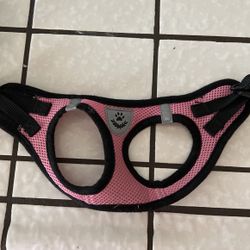 Small Dog Vest