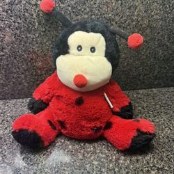 Cozy Hugs Ladybug 