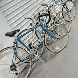 3 Terry's Road Bikes..