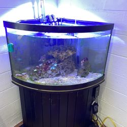 72 gallon Fish Tank 