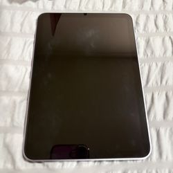 128 Gigabytes Ipad Mini