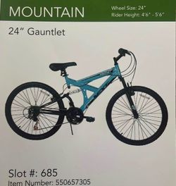 24" Gauntlet Mountain Bike