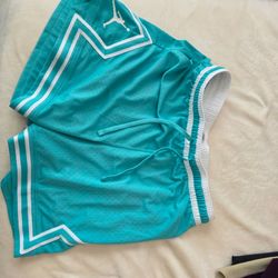 Jordan shorts