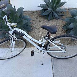 Schwin Beach Cruiser
