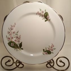 Vintage Royal Stafford Bone China London Pride Lucheon Plate 8  1/4" Replacement 