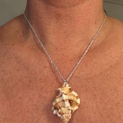 Seashell Necklace