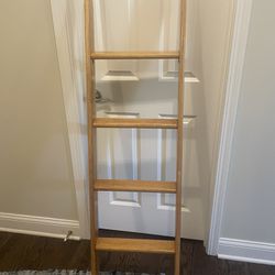 Bunk bed ladder 