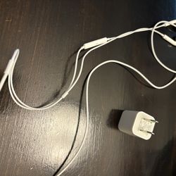 Apple EarPods with Charger