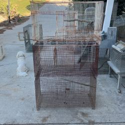 Bird Cages 
