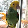 John