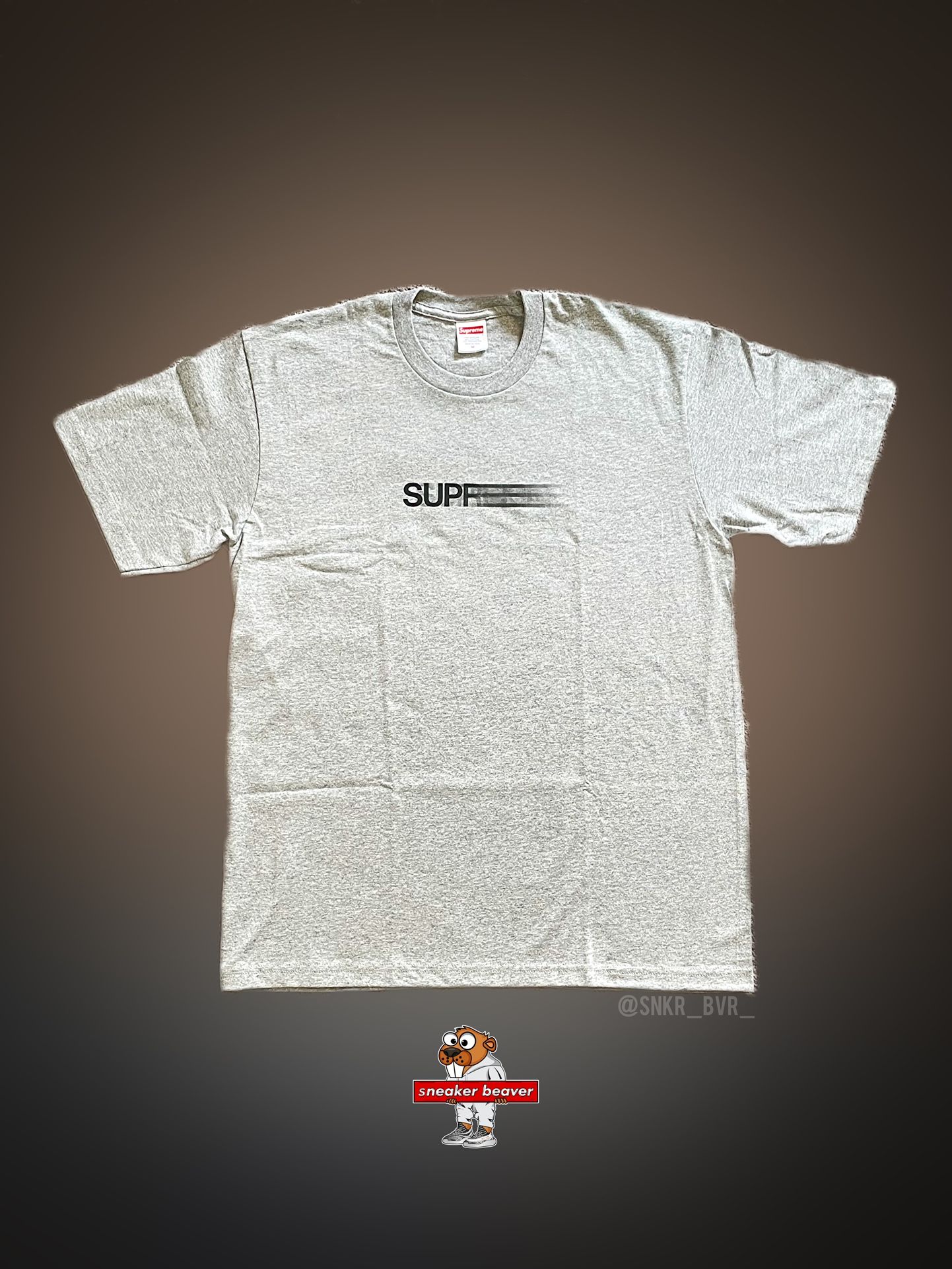 Supreme Motion Logo T-shirt, Size M (grey)