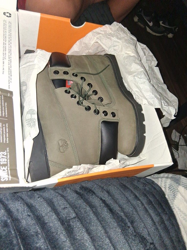 Green Timberland's