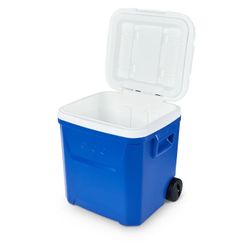 Igloo Cooler