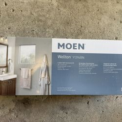 Moen Wellton Bathroom Accessories