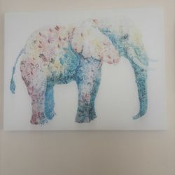Elephant Canvas 