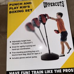 Punching Bag (adjustable)