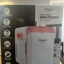 Mini Fridge 