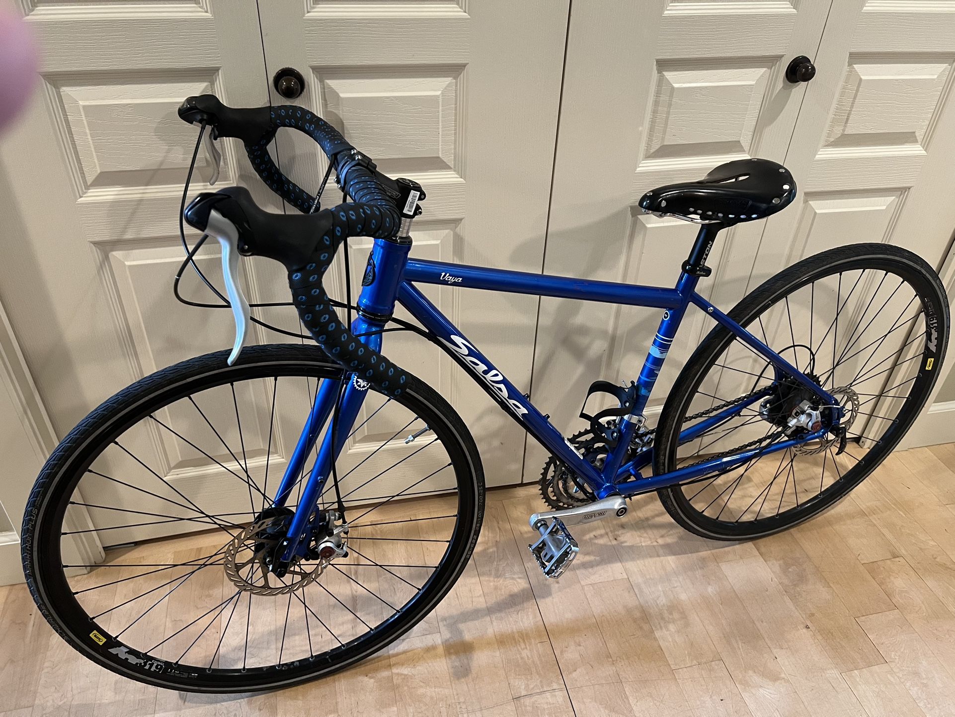 Salsa Vaya Disc Bike