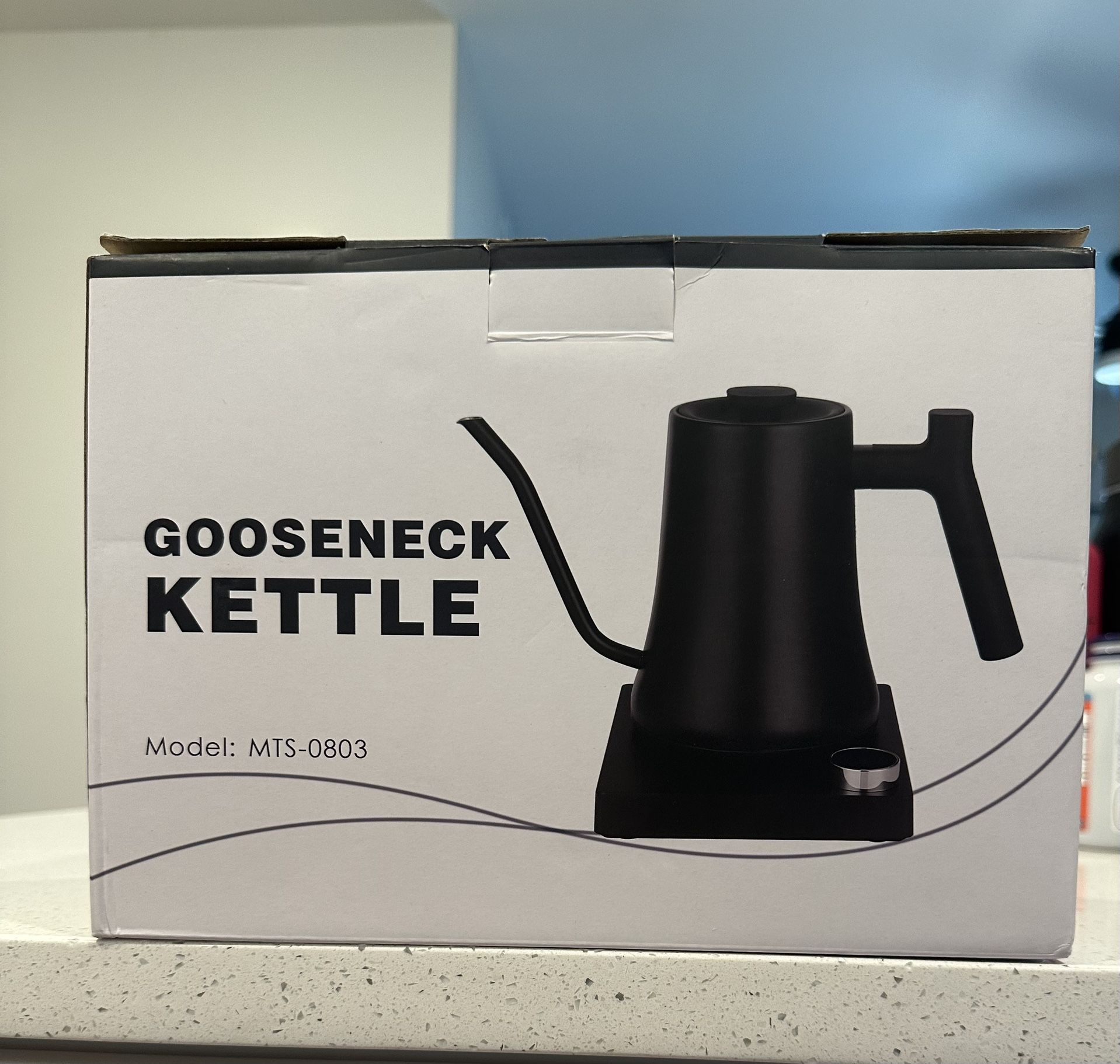Gooseneck Electric Kettle — Like New!