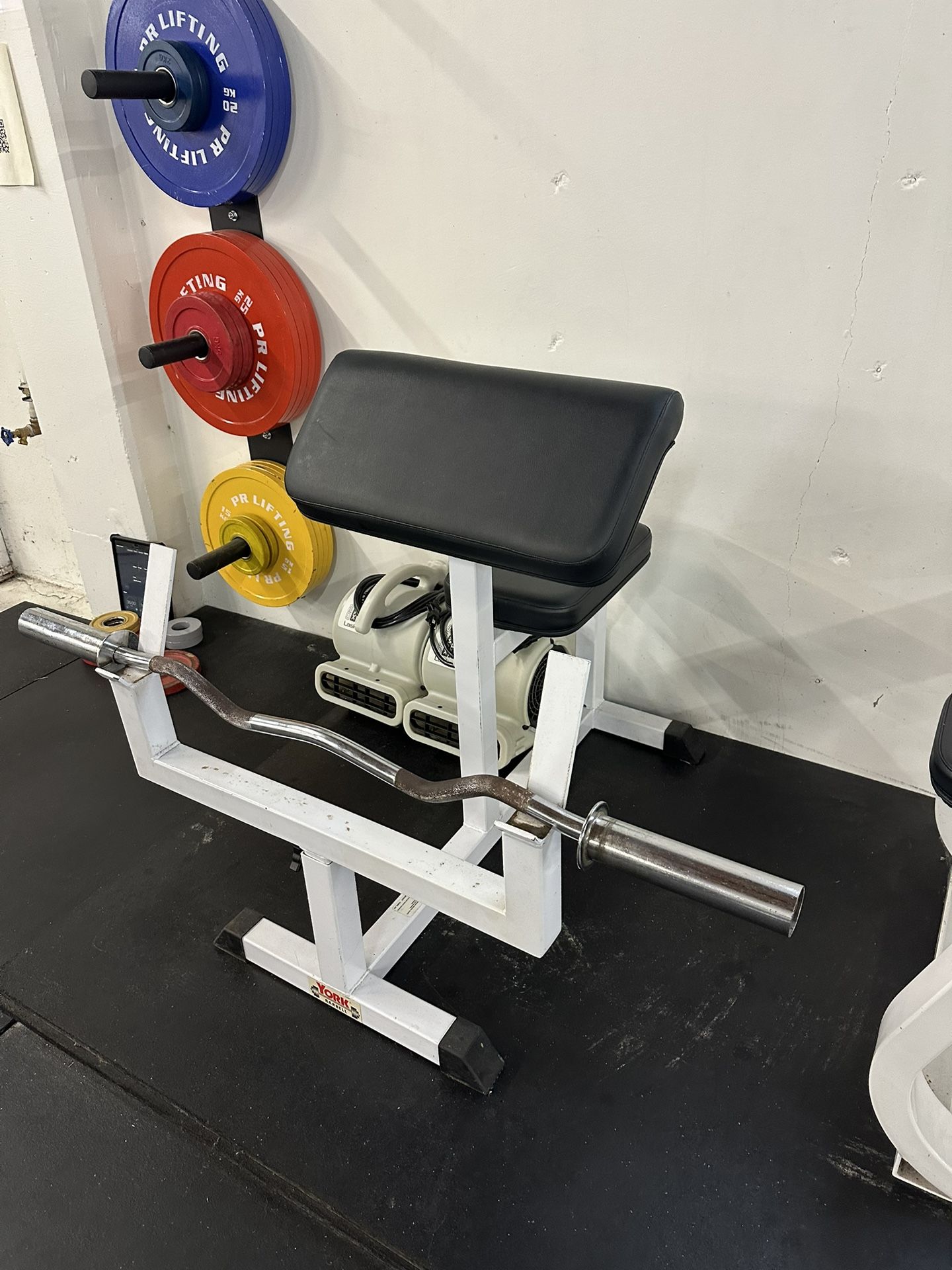 Preacher Curl Bench