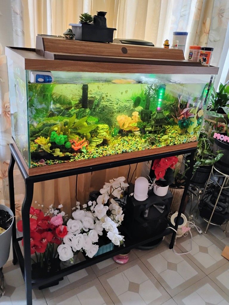 Fish Tank