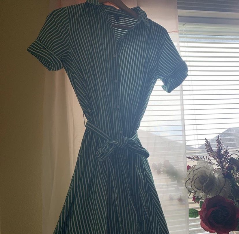 Forever 21 Vintage T-Shirt Dress (green and white)