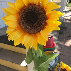 Sunflower 🌻 Decor 