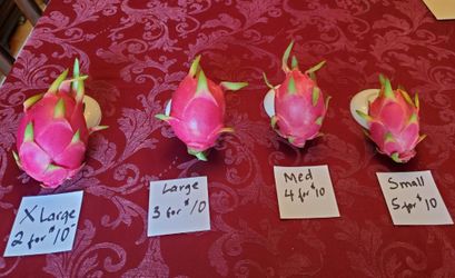 Organic Dragonfruit For Sale!!