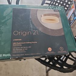 Original 21 LED flushmount ceiling fixture
