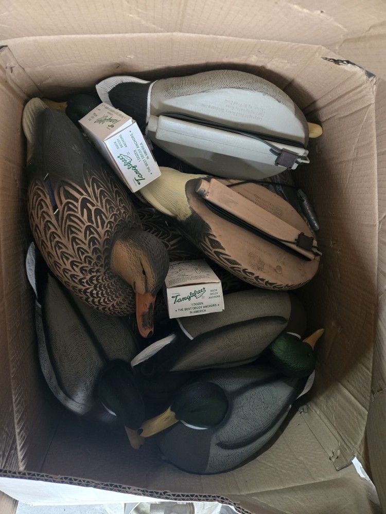 Duck Decoys 