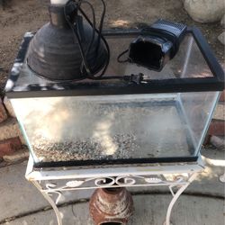 Fish Or Reptile Tank 
