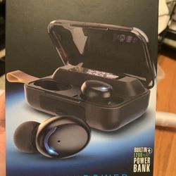 Brookstone Earbuds 
