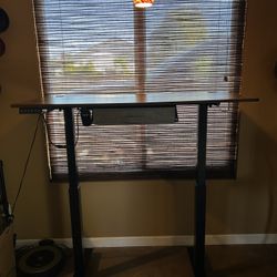 Motorized Adjustable Desk