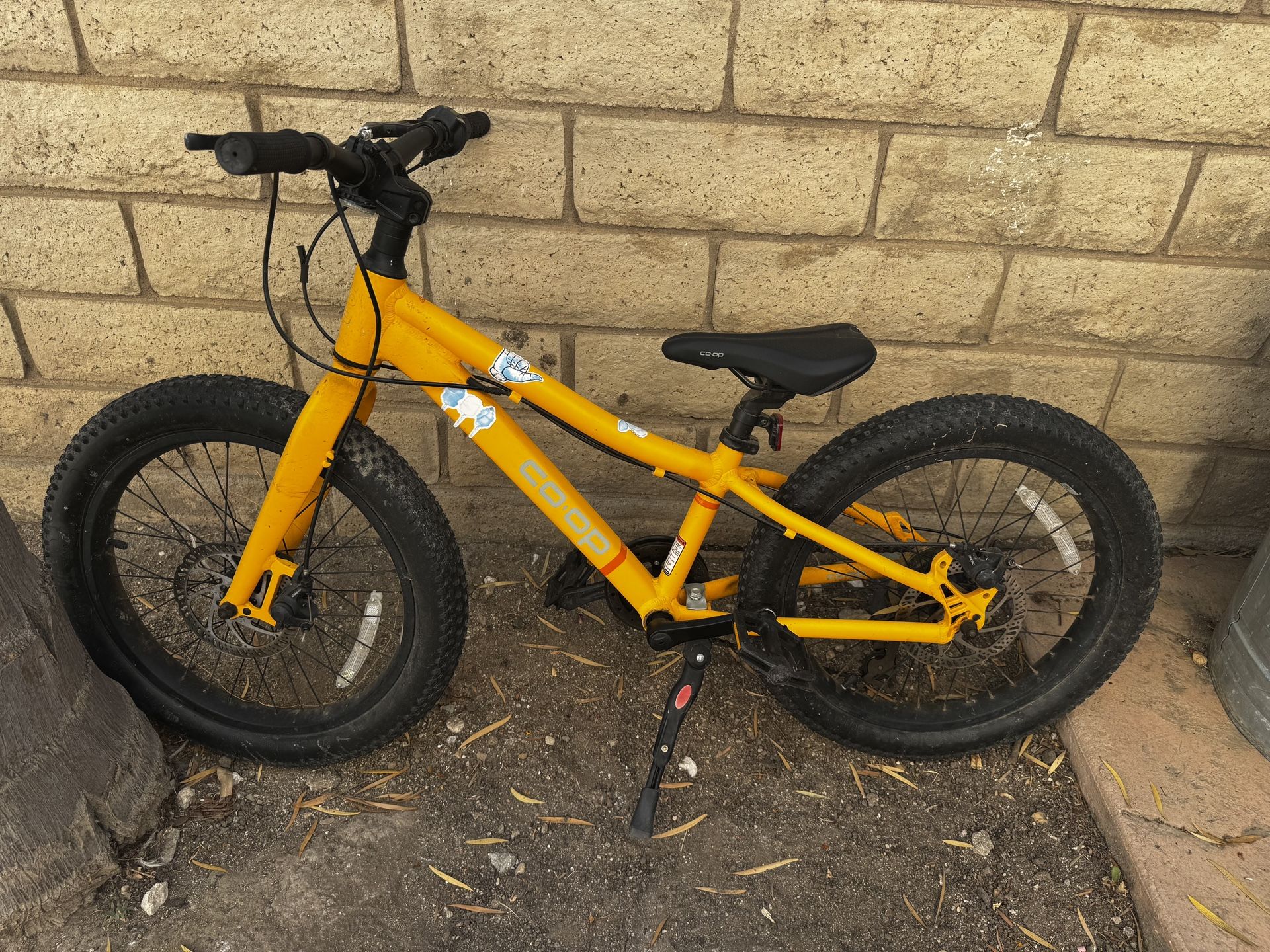 Kids 20” Bike