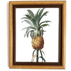 Framed Pineapple Botanical Wall Art Gold Frame