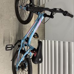 Bike 20