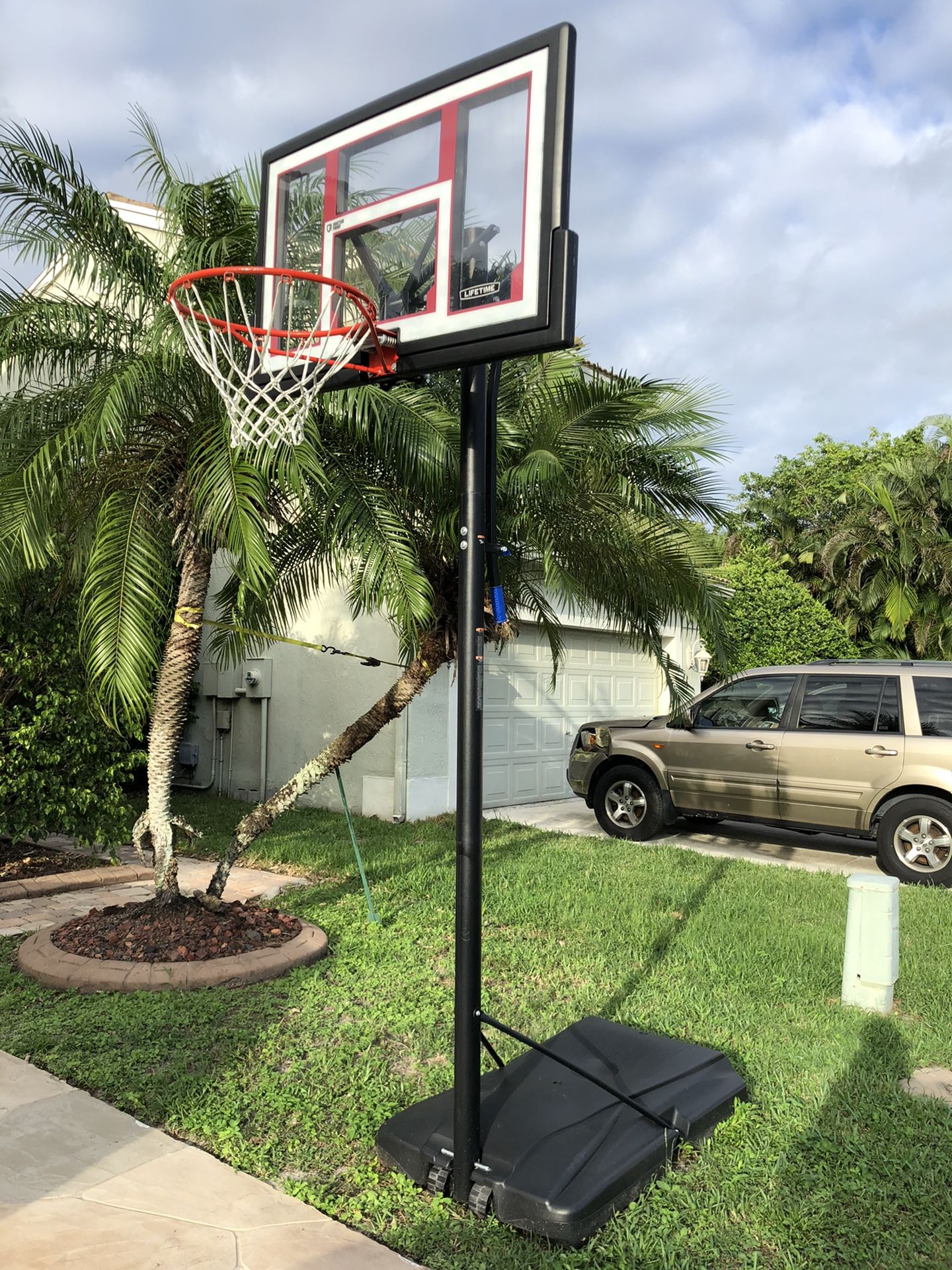 Basketball Hoop - Lifetime - Shatterproof