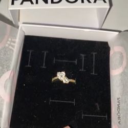 Double Heart Sparkling Ring Pandora Ring