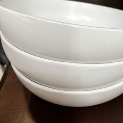 Stone Heavy Pasta Plates 3