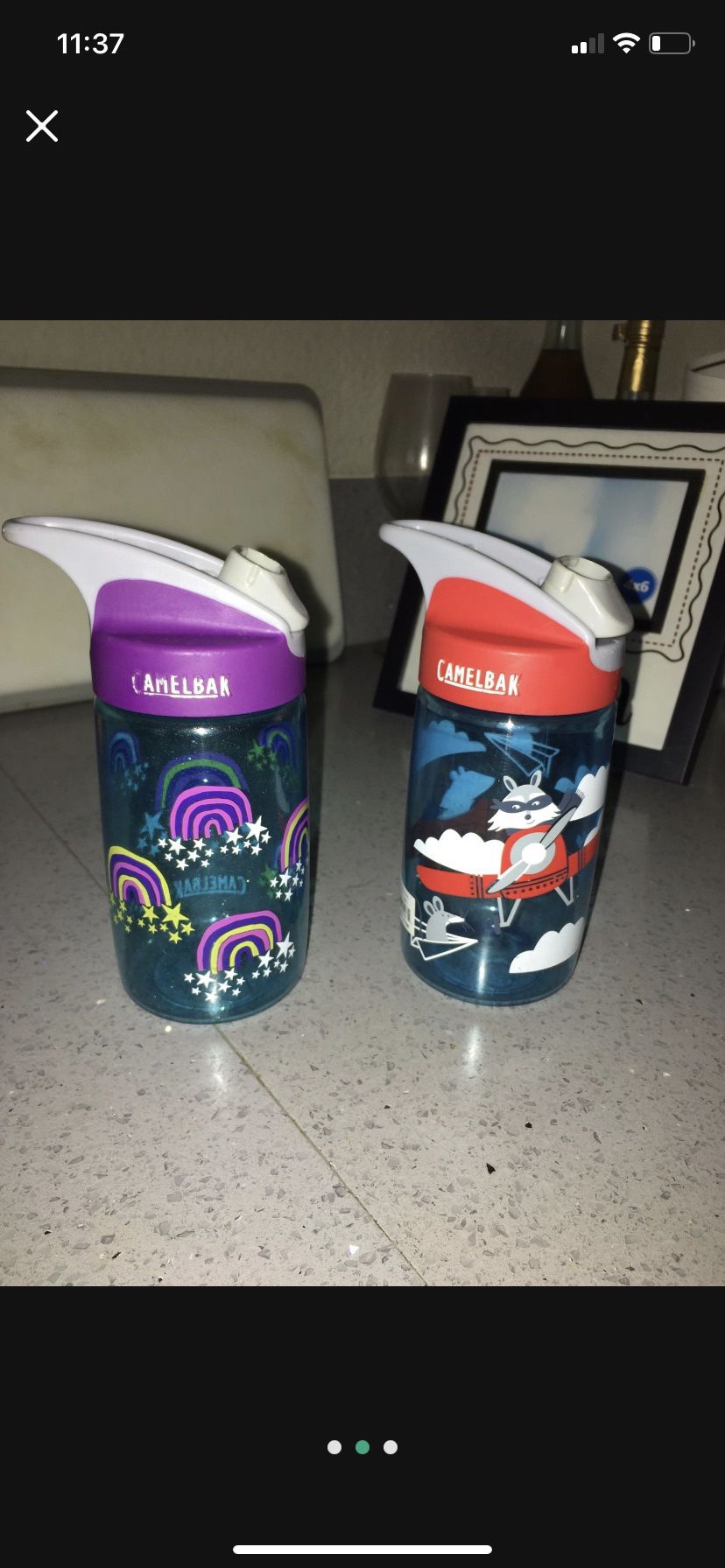 Camelbak Eddy Water Bottles