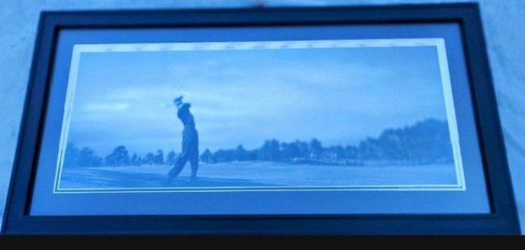 Tiger Woods - 12x30 panoramic sweet swing photo, by Upper Deck