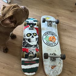 Skateboard